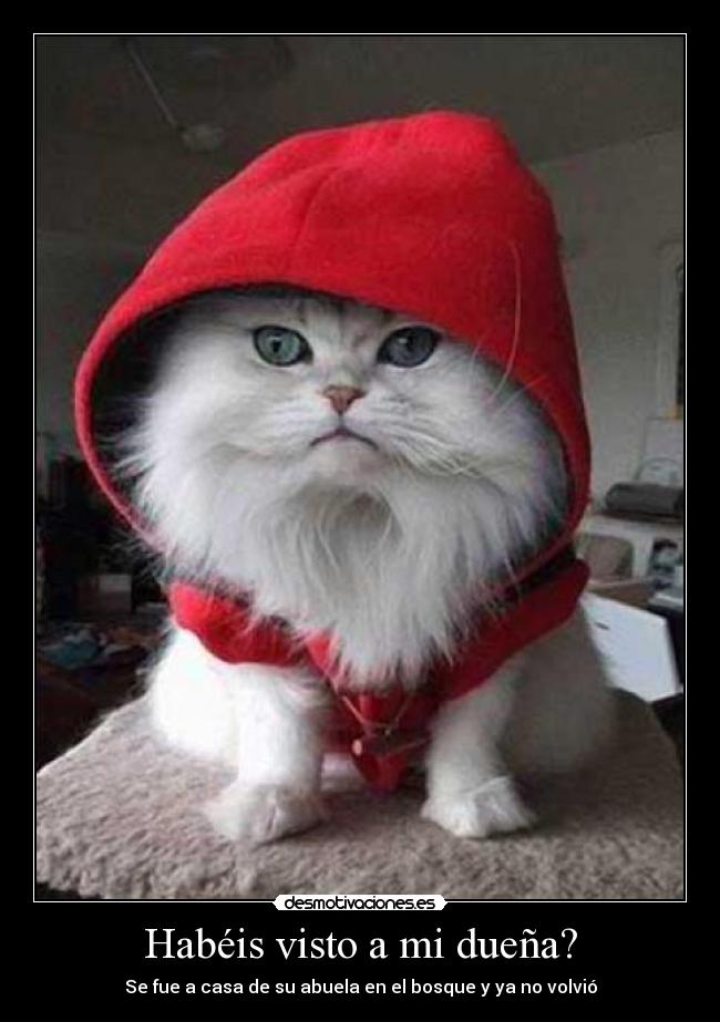 Habéis visto a mi dueña? - 