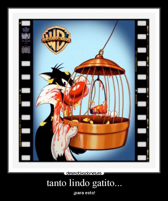 tanto lindo gatito... - ¡para esto!