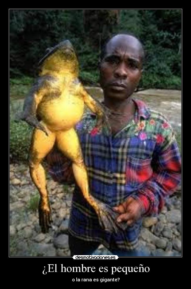¿El hombre es pequeño -