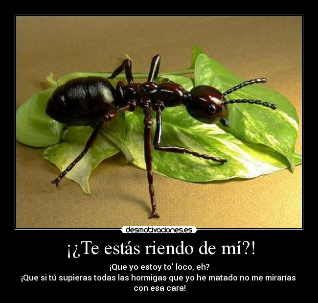 ¡¿Te estás riendo de mí?! - ¡Que yo estoy to loco, eh?
¡Que si tú supieras todas las hormigas que yo he matado no me mirarías 
con esa cara!