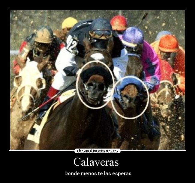 Calaveras - Donde menos te las esperas