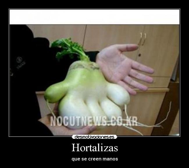 Hortalizas -