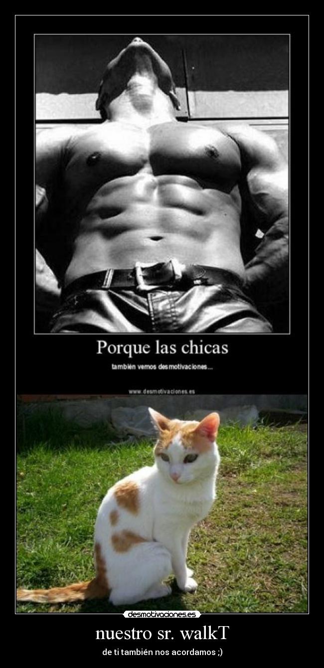 nuestro sr. walkT - de ti también nos acordamos ;)