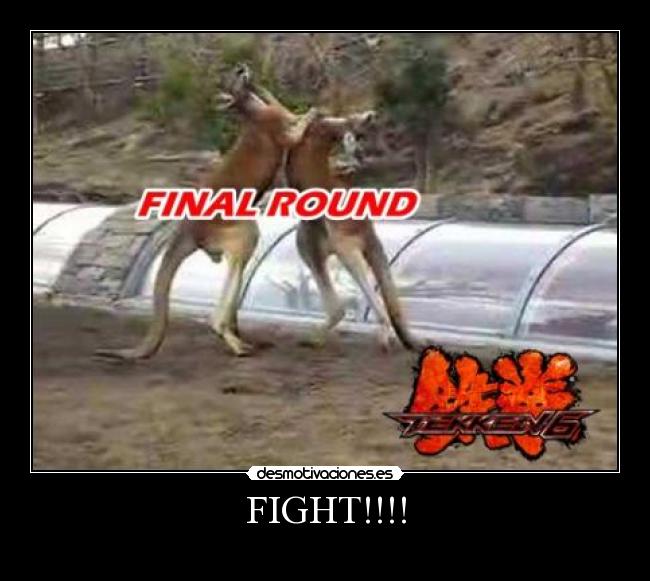 FIGHT!!!! - 