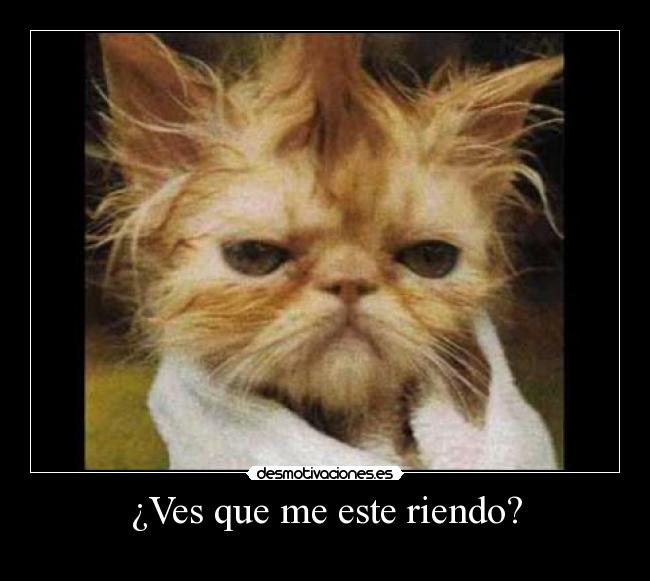 ¿Ves que me este riendo? -