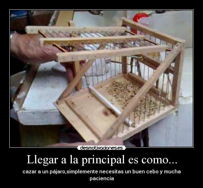Llegar a la principal es como... - 