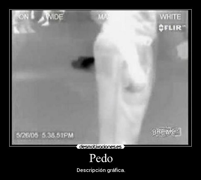 Pedo - Descripción gráfica.