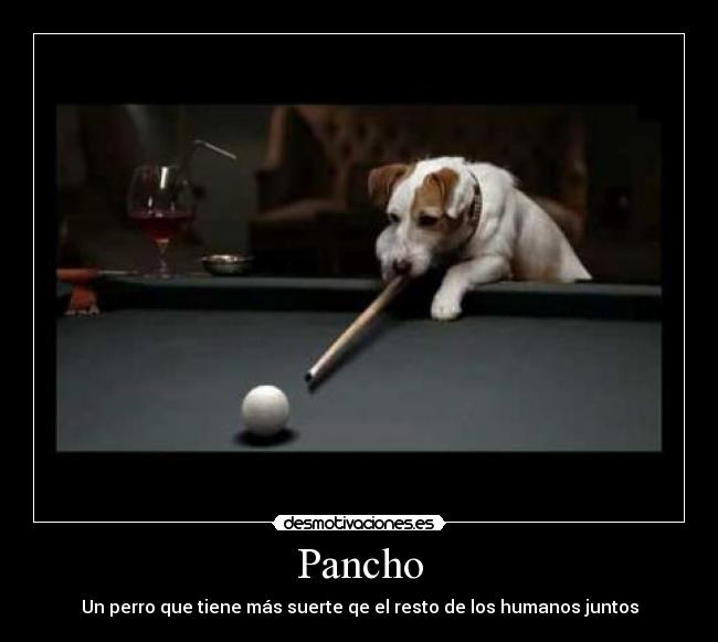 Pancho - 