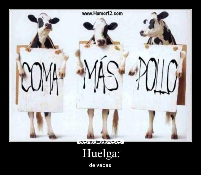 Huelga: - de vacas