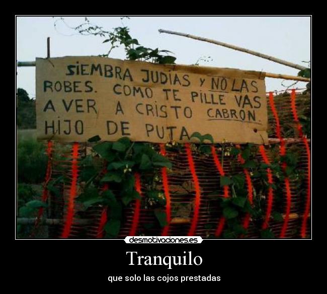 Tranquilo - que solo las cojos prestadas