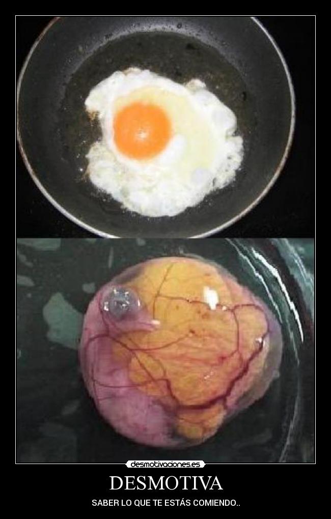 DESMOTIVA - SABER LO QUE TE ESTÁS COMIENDO..