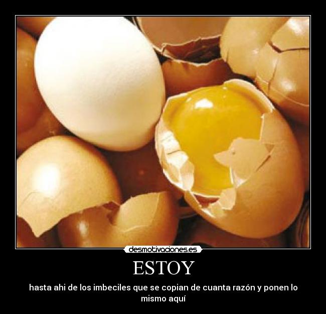 ESTOY - 