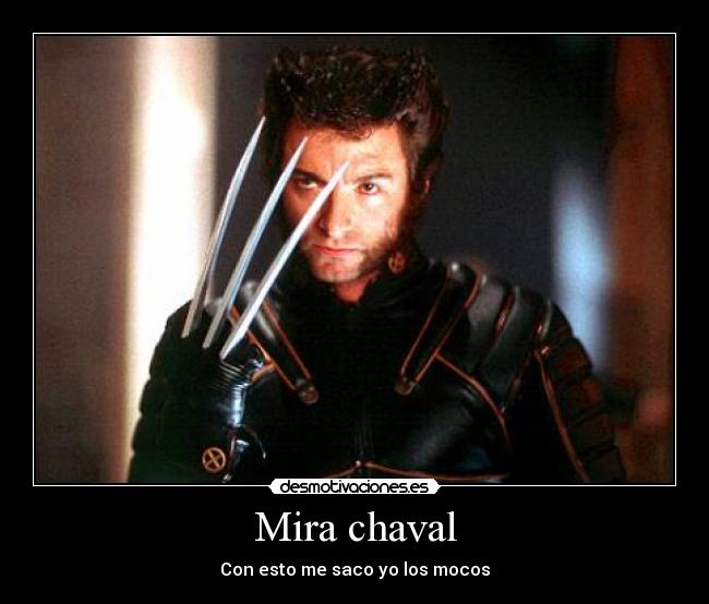 Mira chaval - 