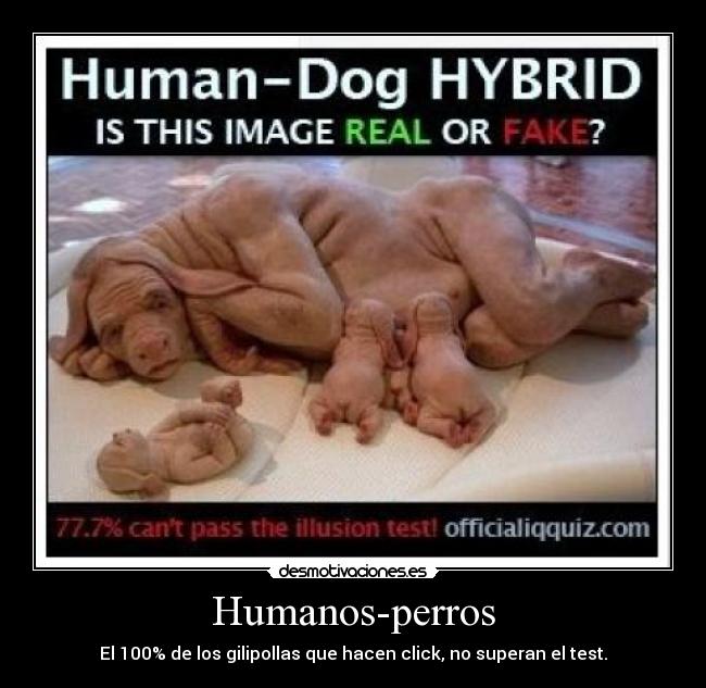Humanos-perros -