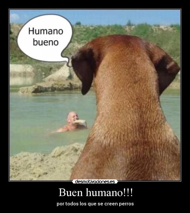 Buen humano!!! - por todos los que se creen perros