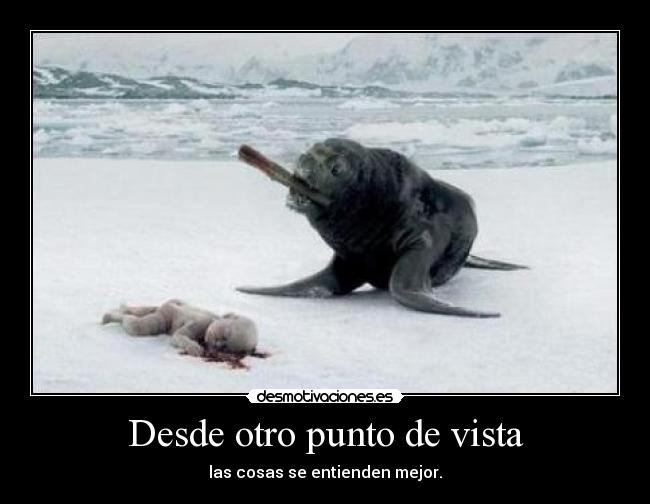 Desde otro punto de vista - 
