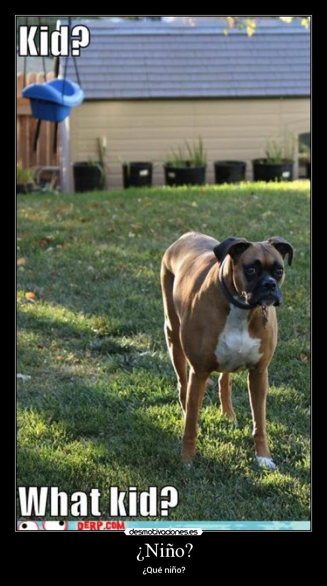 ¿Niño? -