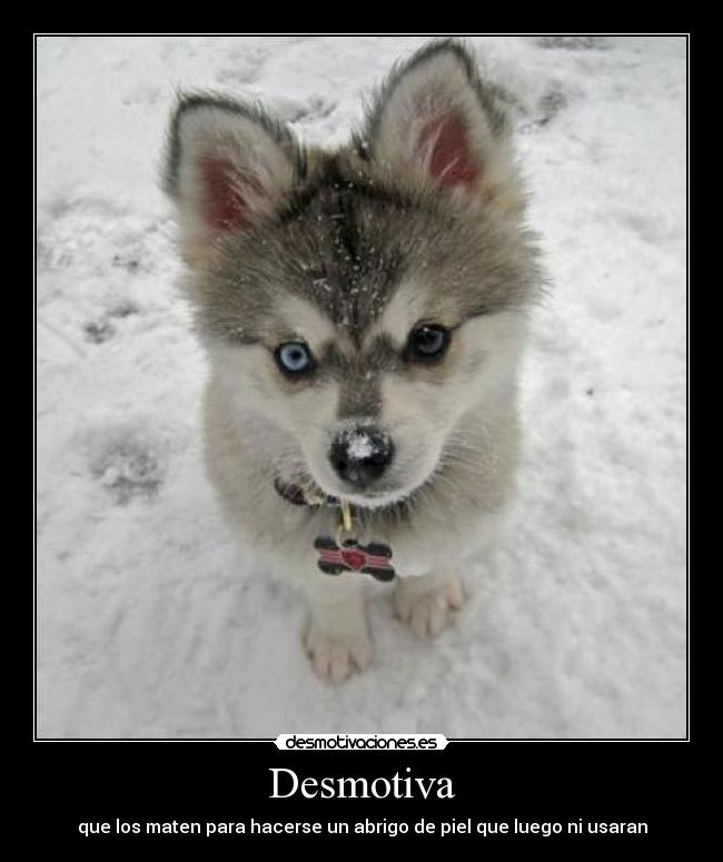 carteles sanludrana desmotivaciones