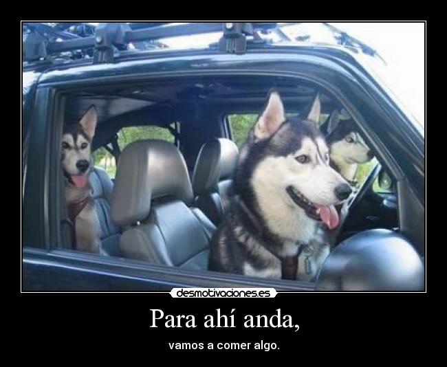 Para ahí anda, - vamos a comer algo.