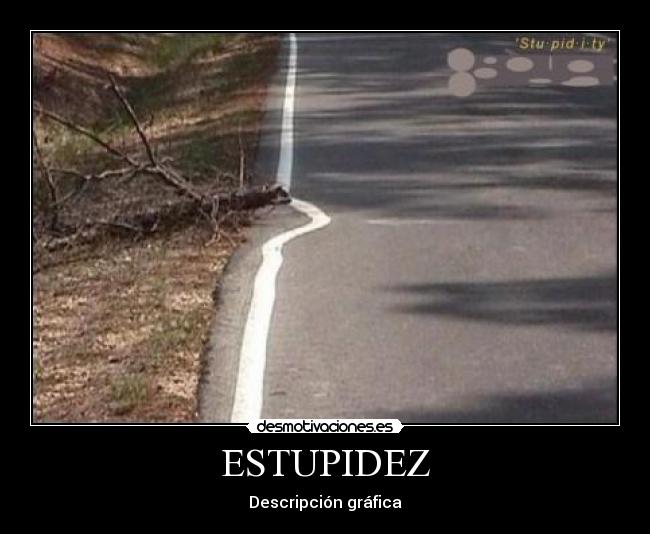 ESTUPIDEZ - 