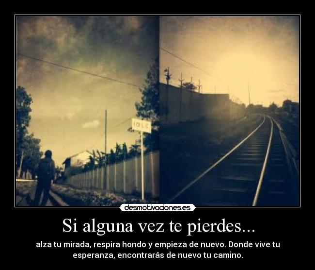 Si alguna vez te pierdes... - alza tu mirada, respira hondo y empieza de nuevo. Donde vive tu
esperanza, encontrarás de nuevo tu camino.