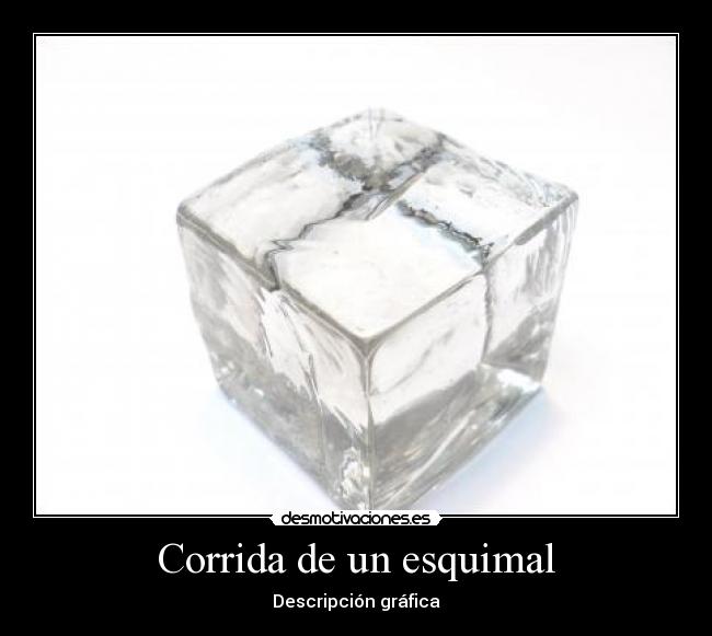 Corrida de un esquimal - Descripción gráfica