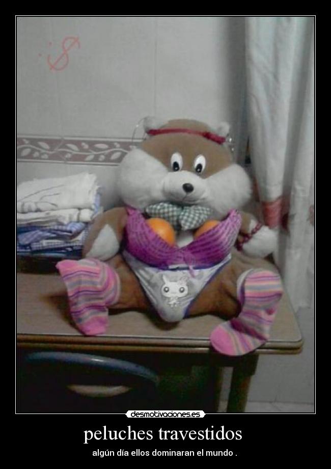 peluches travestidos -