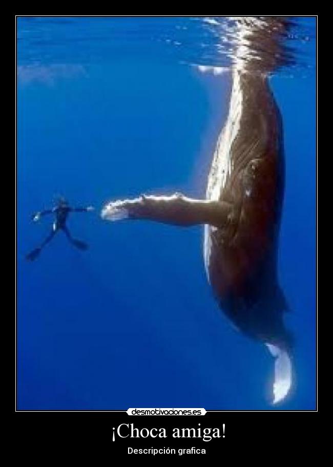¡Choca amiga! -