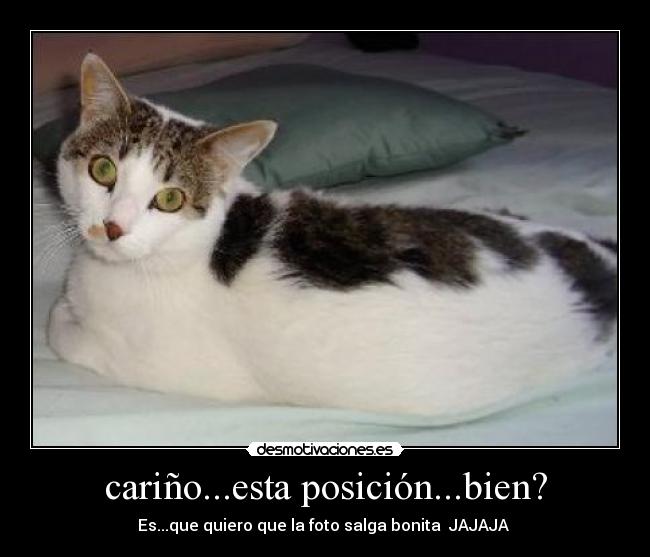 cariño...esta posición...bien? - 