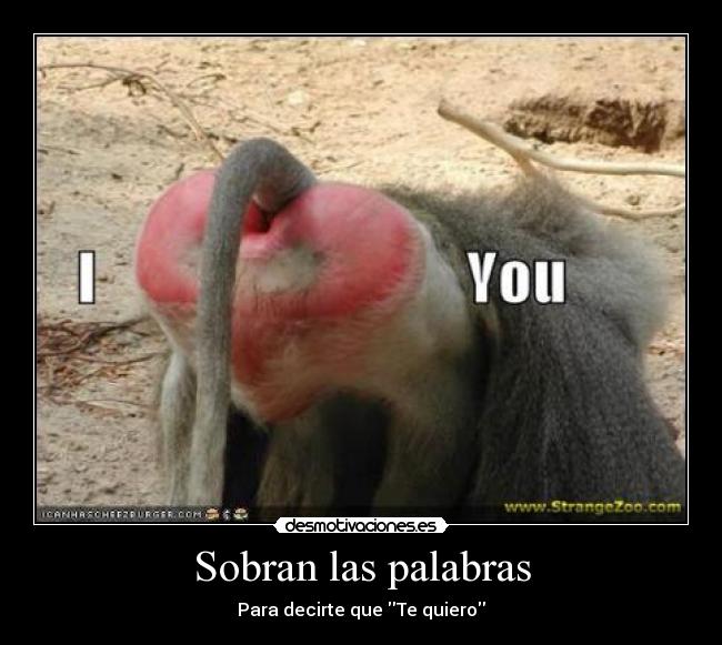 Sobran las palabras -