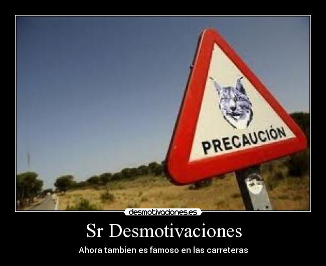Sr Desmotivaciones -