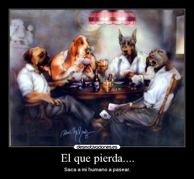 El que pierda.... -