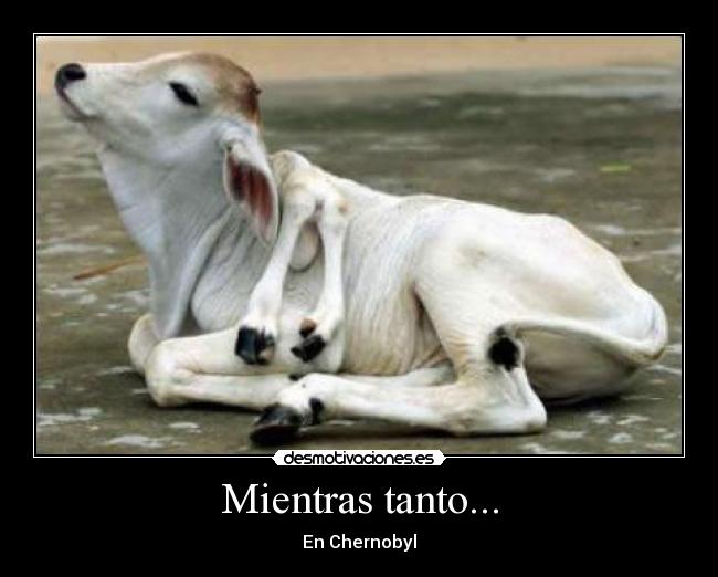 Mientras tanto... - 