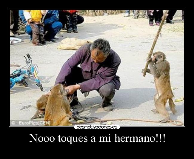 Nooo toques a mi hermano!!! - 