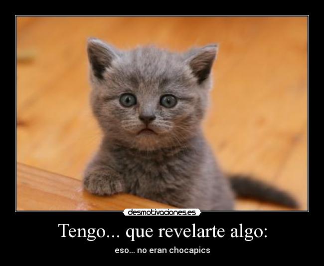 carteles chocapic cereales gato revelar desmotivaciones