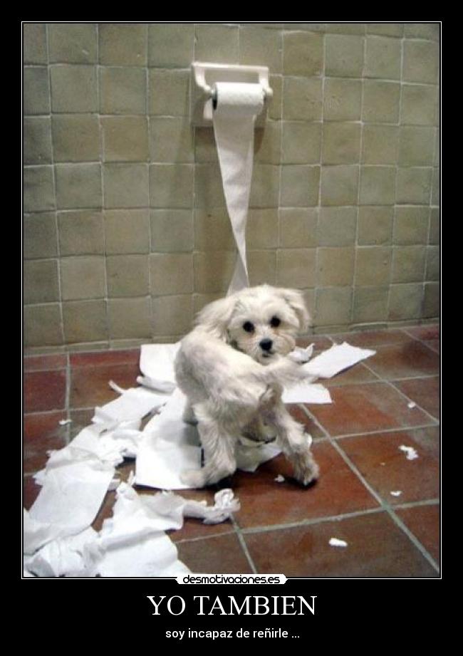 YO TAMBIEN - soy incapaz de reñirle ...
