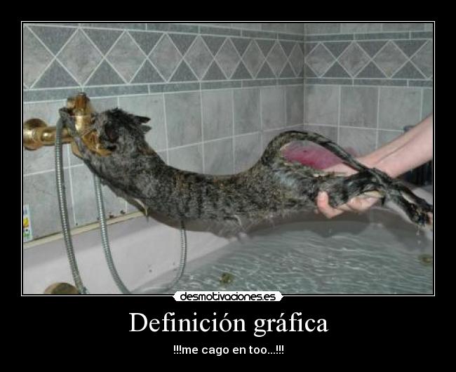 Definición gráfica - !!!me cago en too...!!!