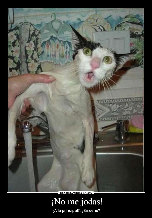 ¡No me jodas! -