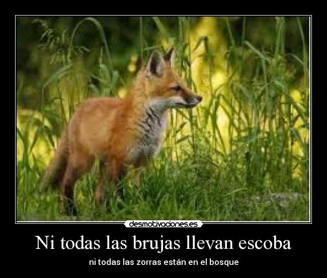 Ni todas las brujas llevan escoba - ni todas las zorras están en el bosque