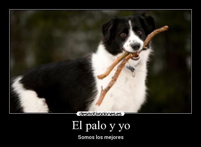 El palo y yo - Somos los mejores