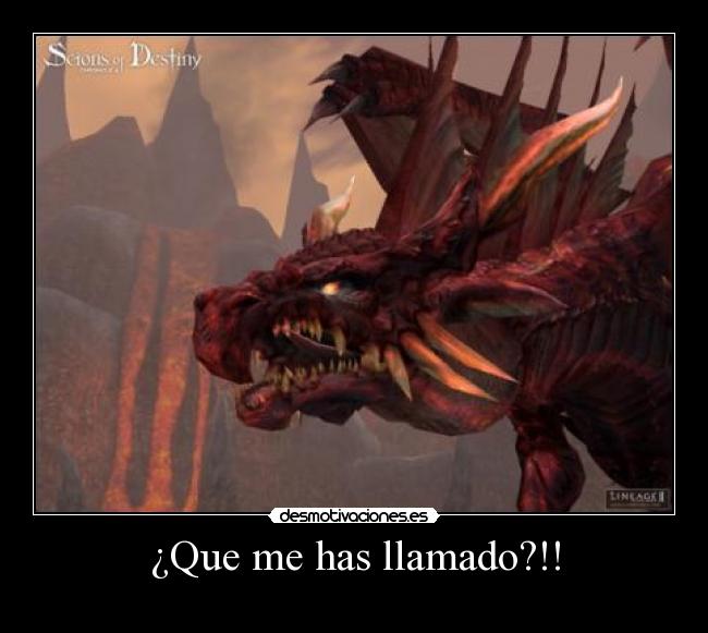 ¿Que me has llamado?!! - 