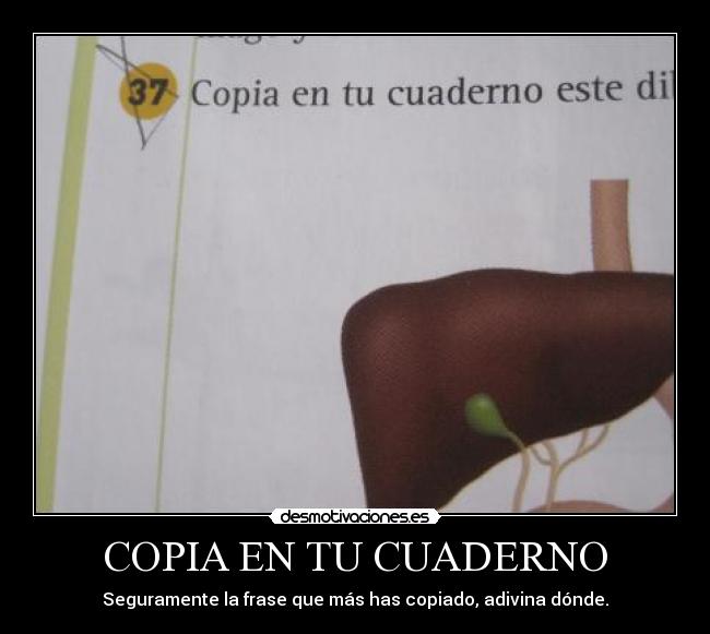 COPIA EN TU CUADERNO - Seguramente la frase que más has copiado, adivina dónde.