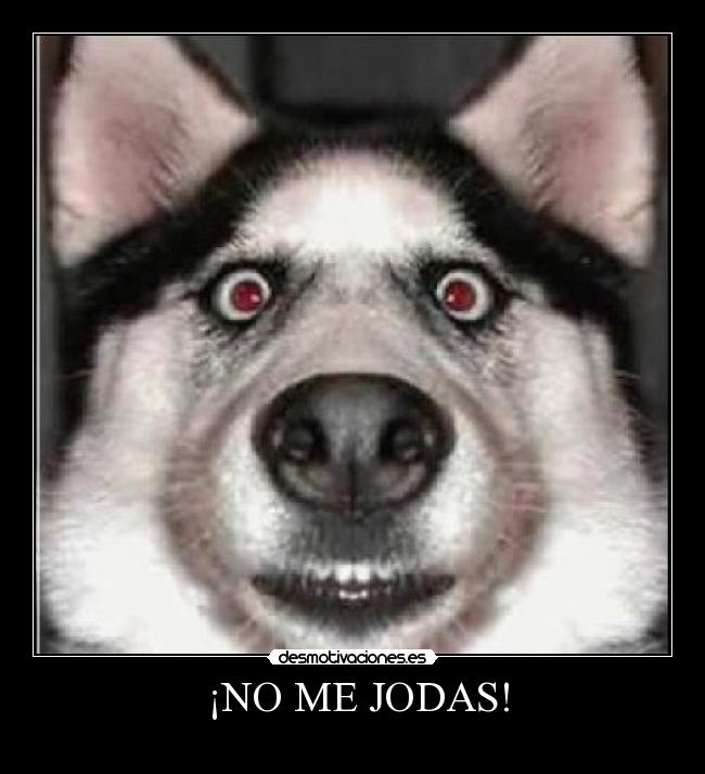  ¡NO ME JODAS! - 