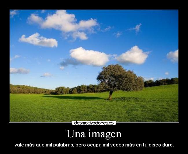 Una imagen - 