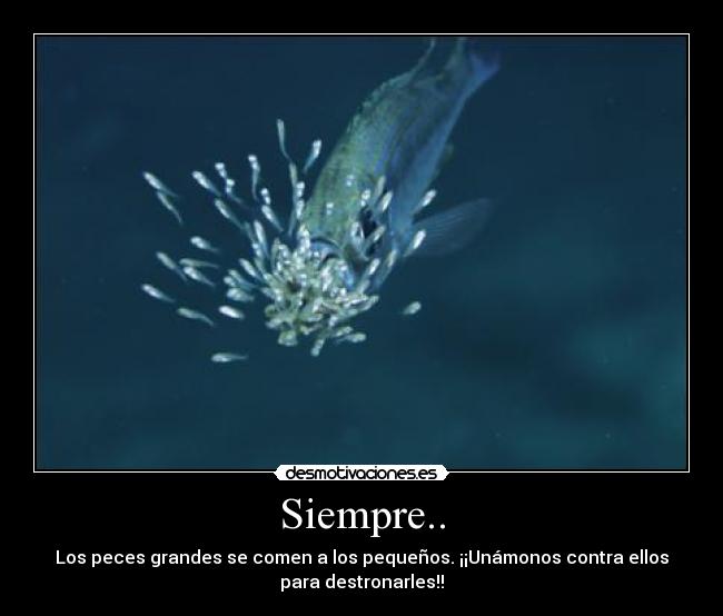 Siempre.. - Los peces grandes se comen a los pequeños. ¡¡Unámonos contra ellos
para destronarles!!