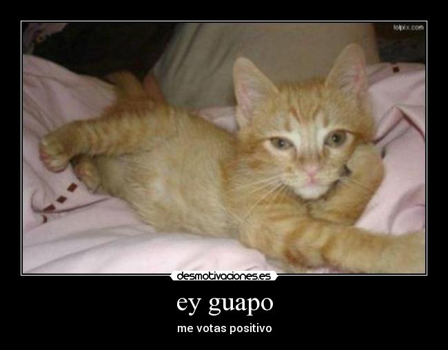 ey guapo - 