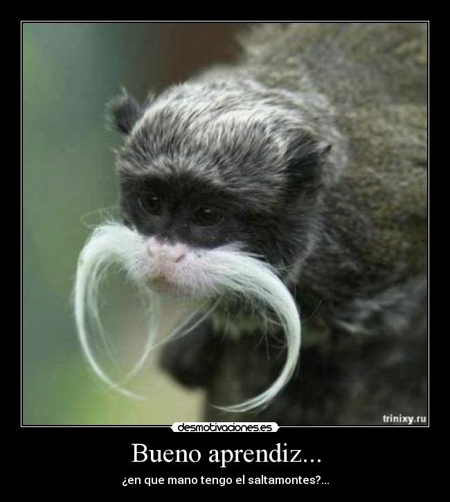 Bueno aprendiz... - ¿en que mano tengo el saltamontes?...