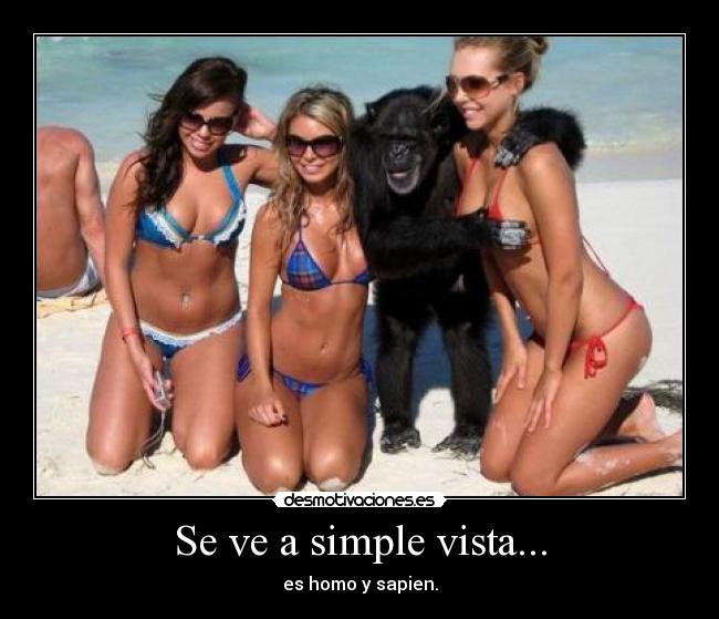 Se ve a simple vista... - es homo y sapien.