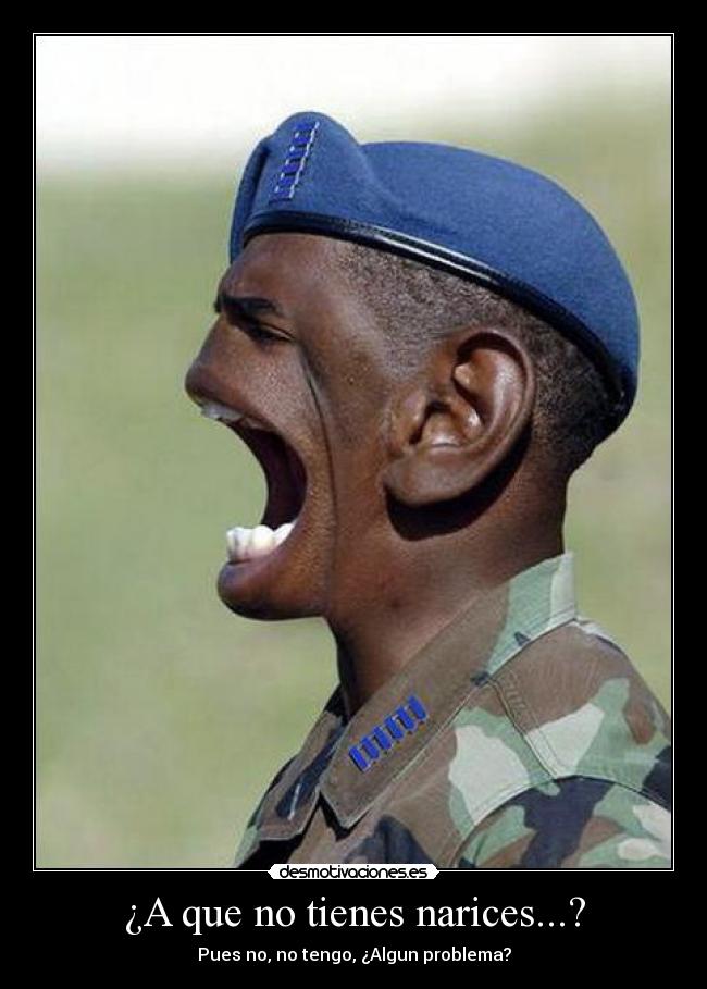 ¿A que no tienes narices...? - 