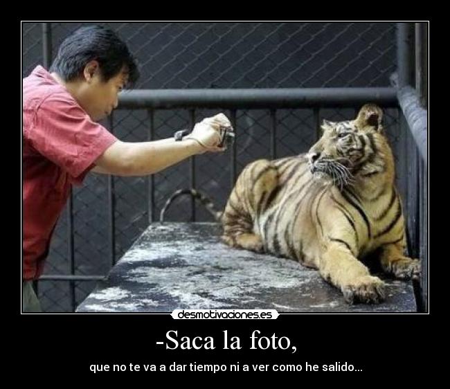 carteles tigre punto comer desmotivaciones